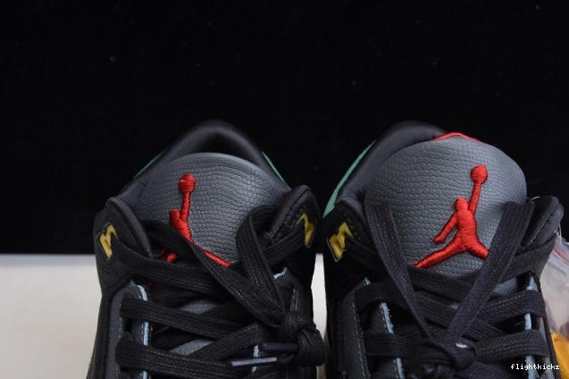 Air - Jordan Retro 3 Animal Instinct SE CV3583-003 2.0 1109